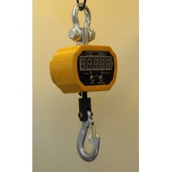 Весы крановые OCS-1t-XZC3